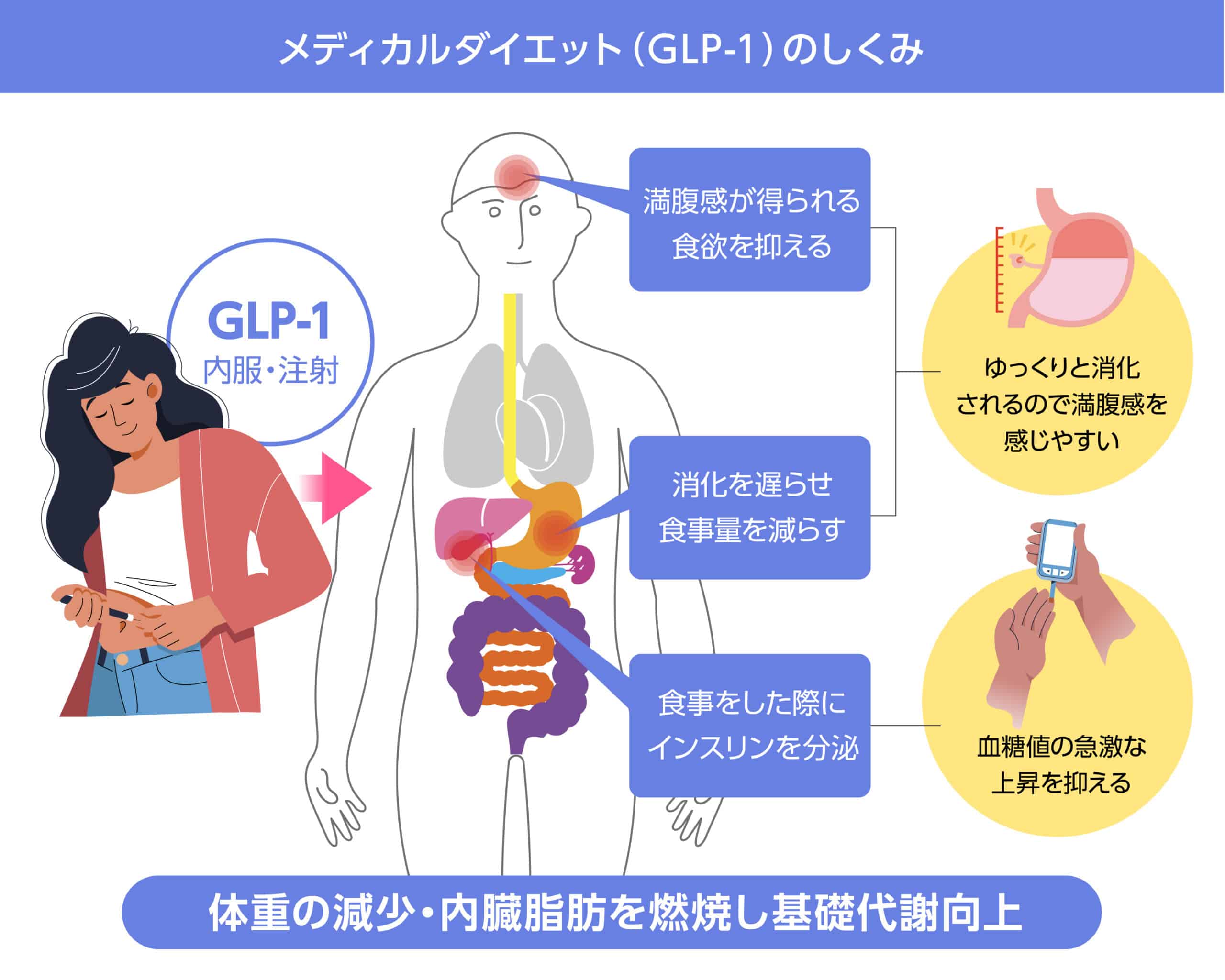 ダイエットに人気の糖尿病治療薬「GLP-1受容体作動薬」とは_画像